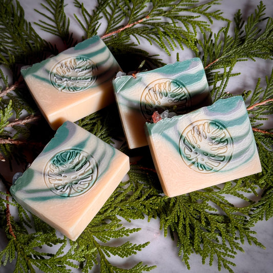 Winter Solstice~ Body Soap Bar